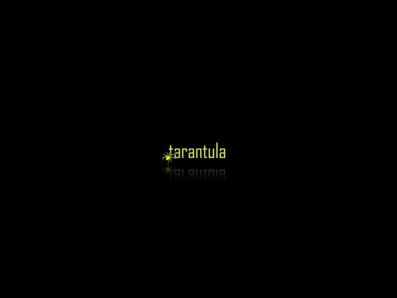 tarantula_tapeta